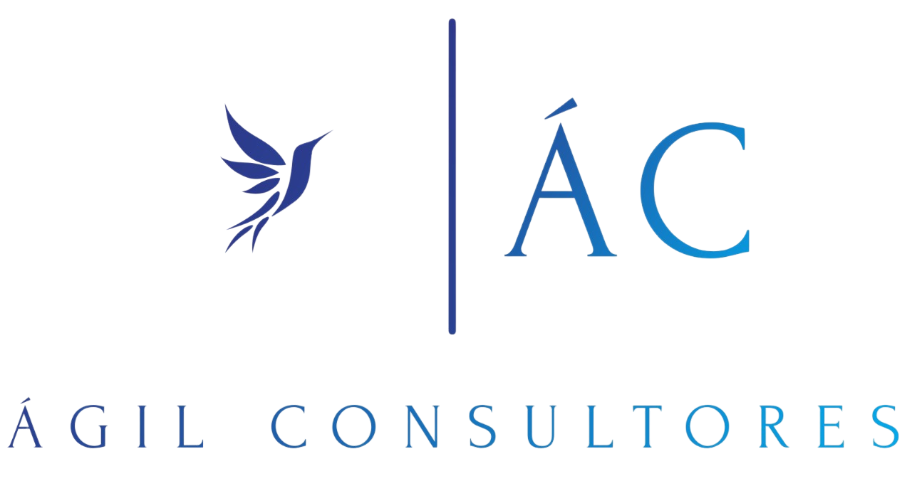 Agil Consultores